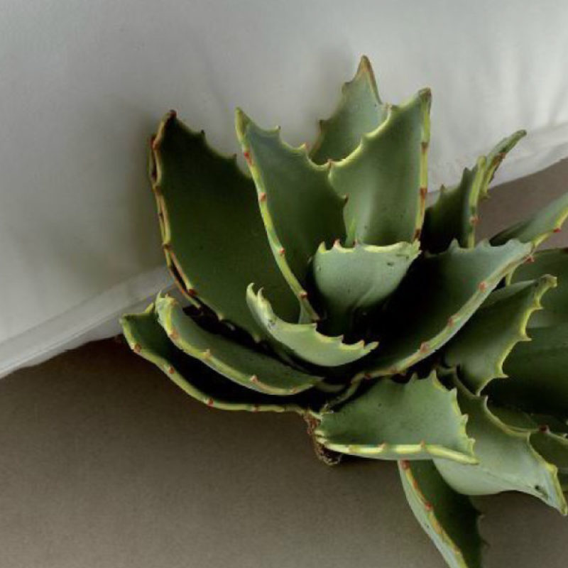 Cuscino-aromatizzato-allAloe-Vera-Demaflex.